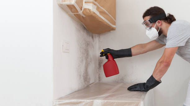 Professional Bathroom Mold Removal technician working in Waynesboro, TN